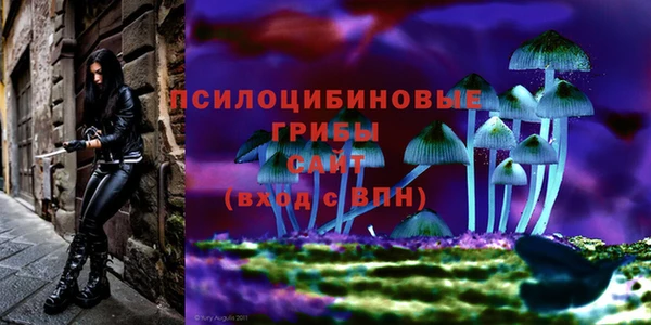 стаф Куйбышев