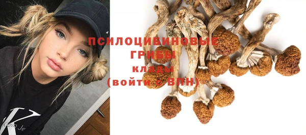 стаф Куйбышев